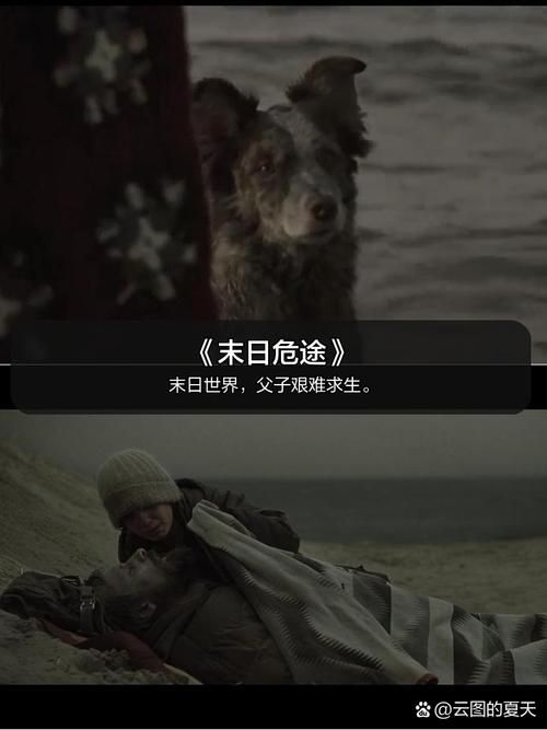 DrRedsZombieApocalypse最新剧情解析 末日世界背景故事