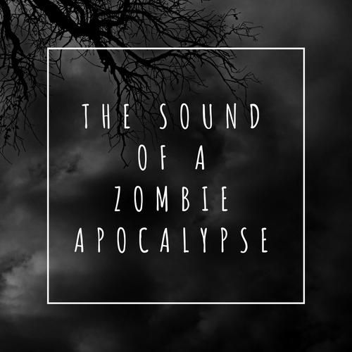 DrRedsZombieApocalypse最新版本是多少 现在能玩哪个版本