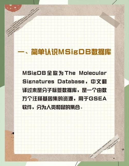 DrRedsZombieApocalypse版本大全 新手必看下载攻略