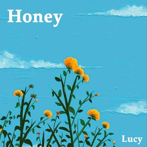 HoneySun汉化版下载安装包及使用指南