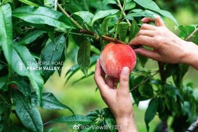 HoneySun汉化版最新更新内容解析 这些改动你知道吗