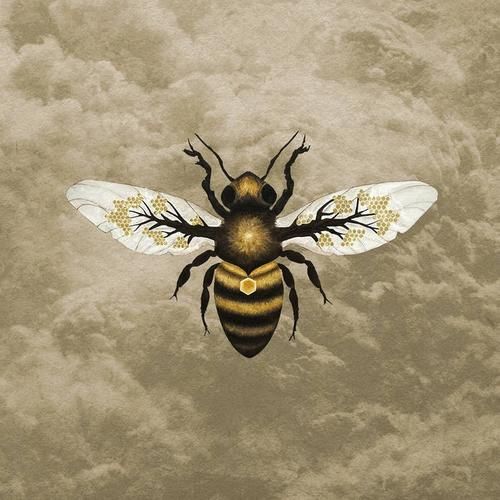 HoneySun汉化版最新更新内容解析 这些改动你知道吗