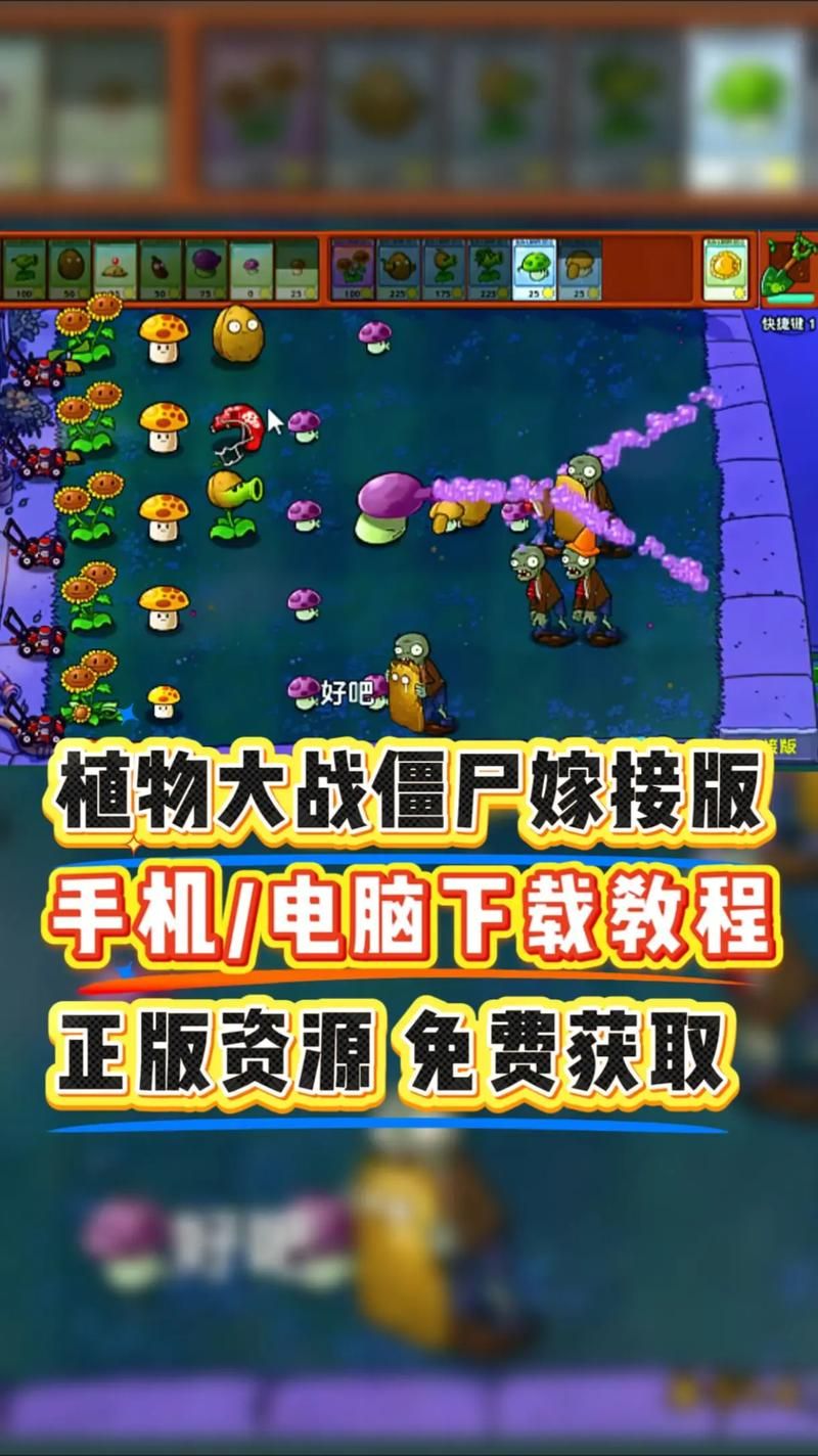 H版植物大战僵尸更新地址及安装步骤全解析