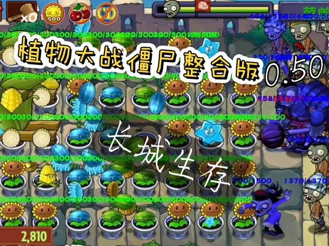 H版植物大战僵尸更新地址及安装步骤全解析