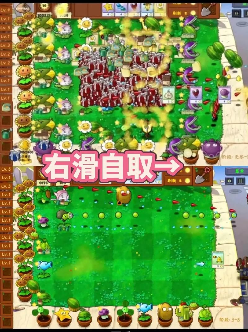 H版植物大战僵尸更新地址及安装步骤全解析