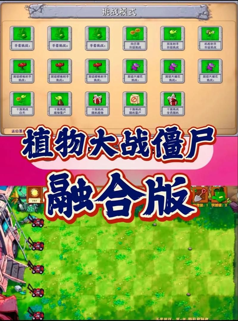 H版植物大战僵尸更新地址及安装步骤全解析