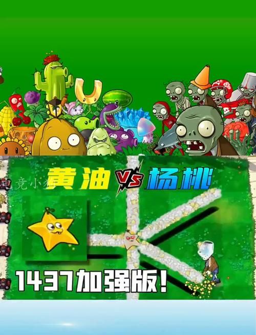 H版植物大战僵尸杨过游戏最新版本玩法介绍