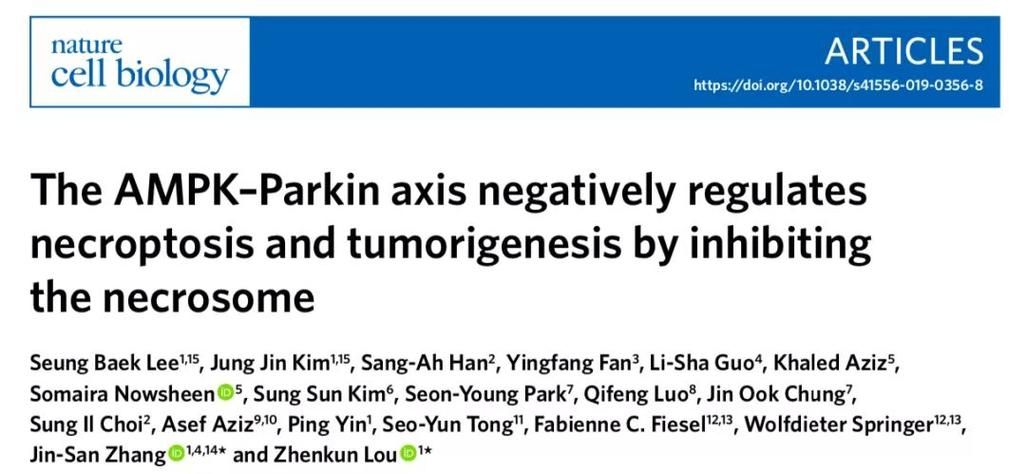 jinricp2月28日最新版本功能全面解析 jinricp2月28日最新版本功能全面解析