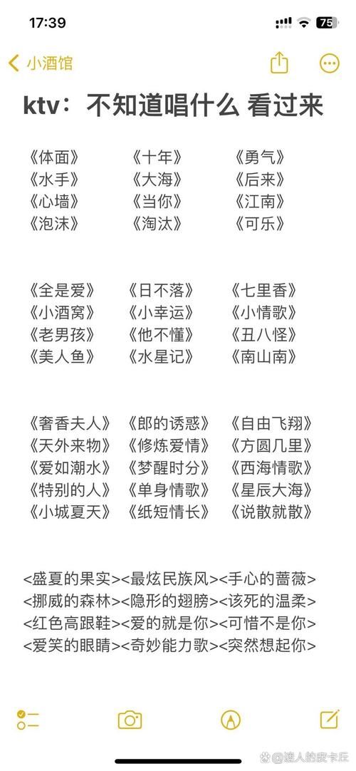 KTV汉化版最新更新内容解析 歌单更全体验更好