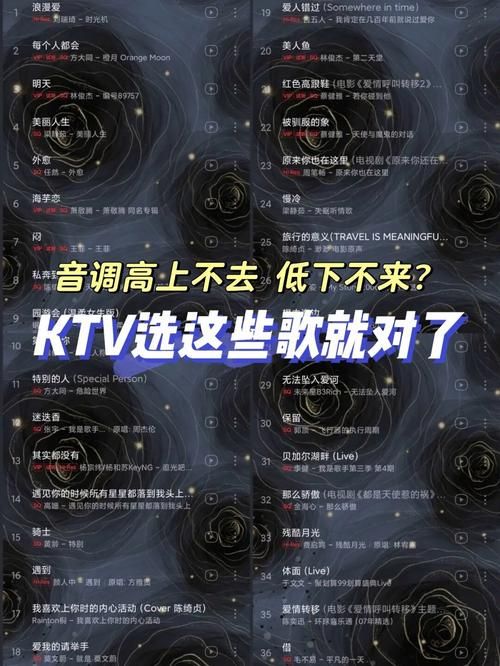 KTV汉化版最新更新内容解析 歌单更全体验更好