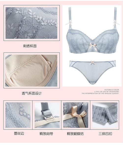 LingerieS下载地址分享 最新版内衣设计软件免费获取