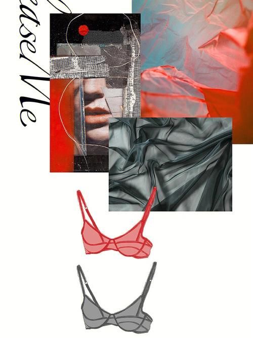LingerieS下载地址分享 最新版内衣设计软件免费获取