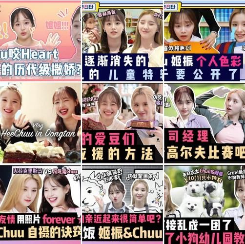 Lovechuu版本大全哪个最好用详细对比评测
