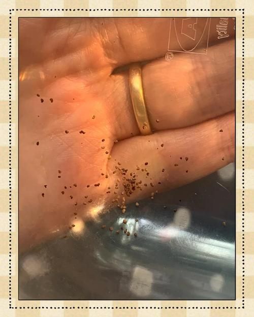 LOVE爱立方最新使用教程 手把手教你轻松上手