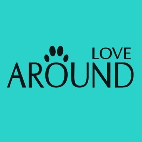 LOVE爱立方汉化版下载 手机电脑双端资源分享