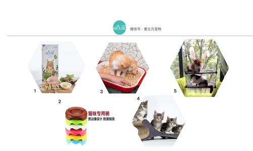 LOVE爱立方汉化版最新更新内容评测 用户反馈都说好