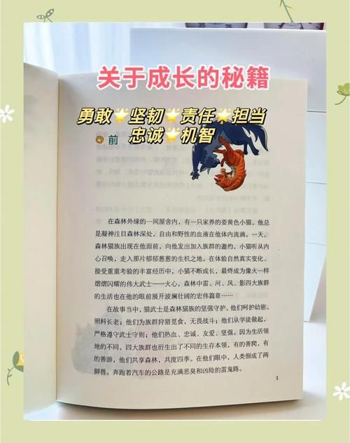 lu小说合集游戏攻略完整版 快速升级秘籍大公开