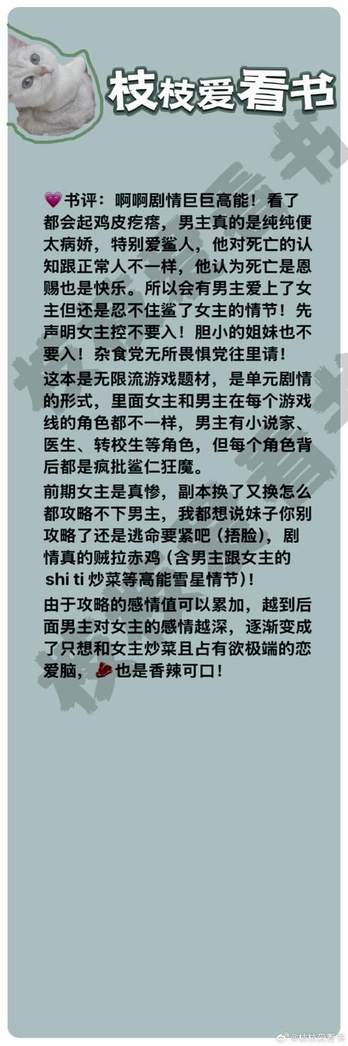 lu小说合集绅士游戏评测 深度解析绅士游戏内容