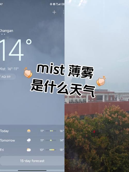 mist薄雾官方正式版下载最新版功能全面体验好