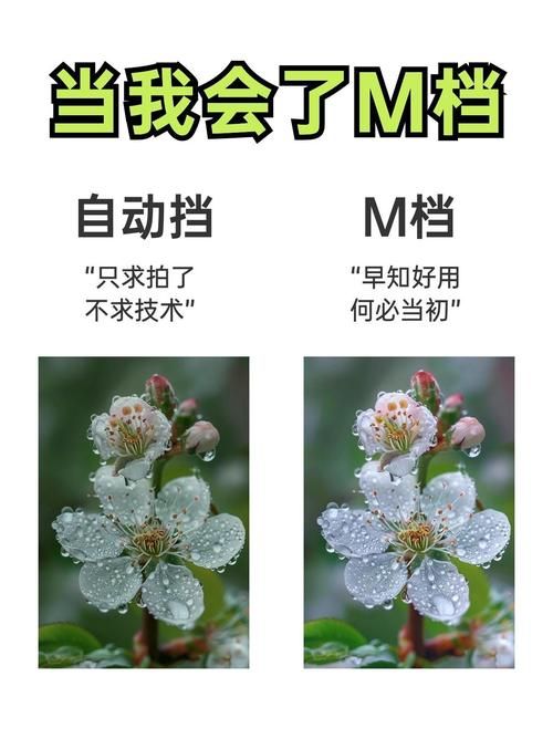 M上攻略合集安卓汉化版详细使用指南