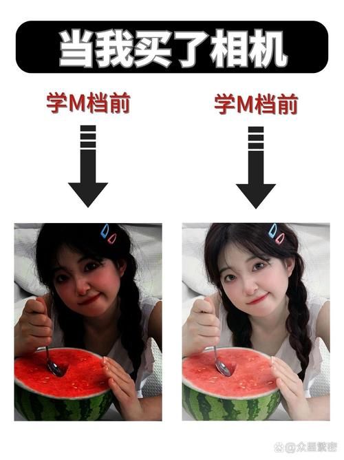 M上攻略合集安卓汉化版详细使用指南