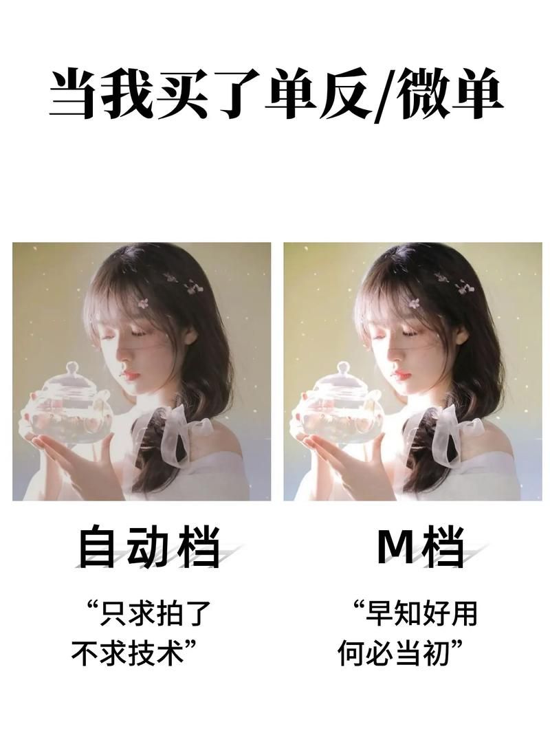 M上攻略合集安卓汉化版详细使用指南