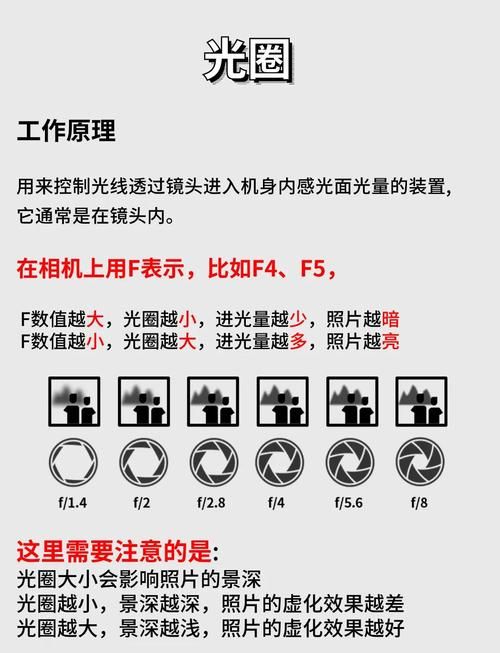M上攻略合集最新分享 新手必看技巧大全