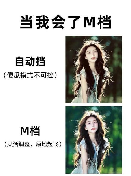 M上攻略合集最新分享 新手必看技巧大全