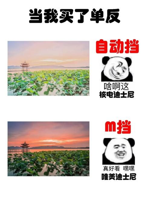 M上攻略合集最新分享 新手必看技巧大全