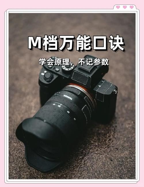 M上攻略合集最新分享 新手必看技巧大全