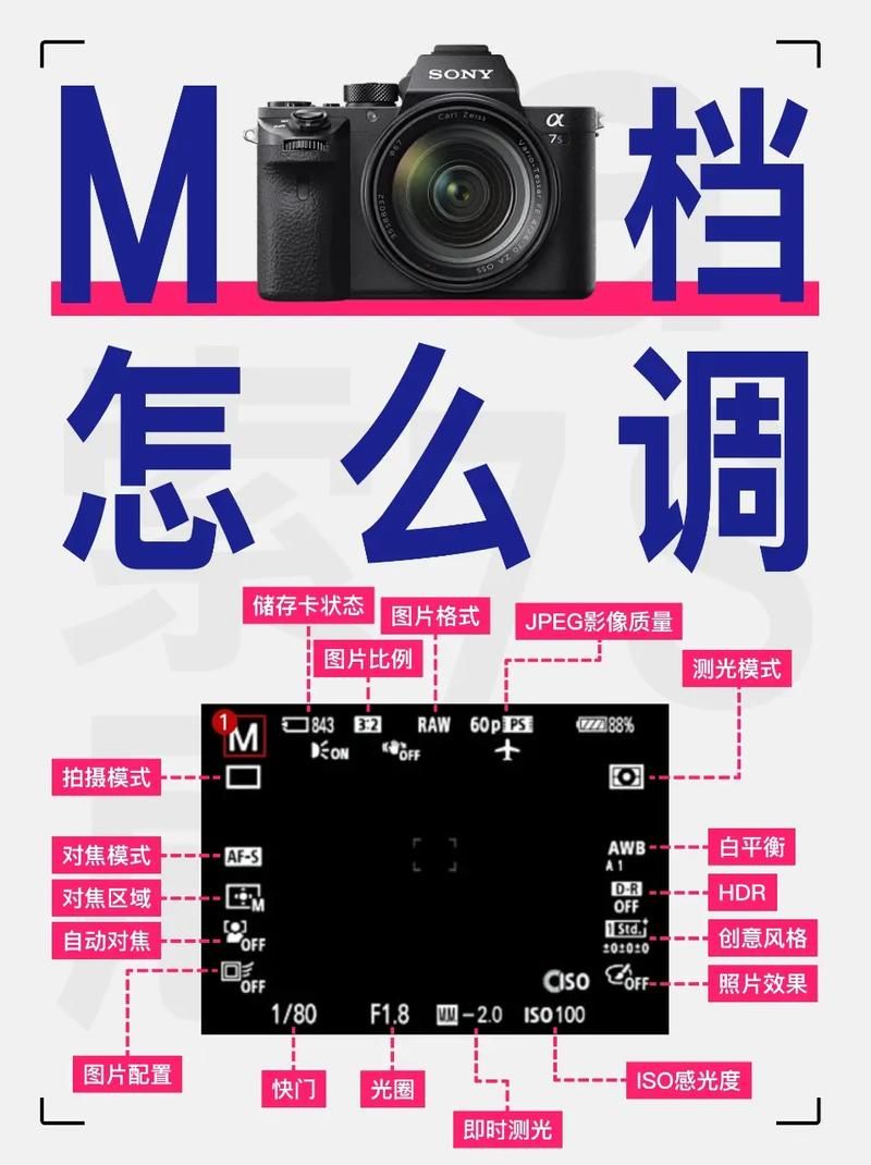 M上攻略合集最新分享 新手必看技巧大全