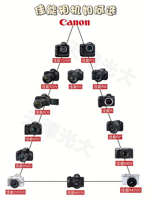 M上攻略合集版本大全 各版本优缺点对比分析
