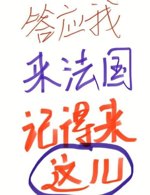 Naomi汉化版最新更新内容大揭秘 这些改动别错过