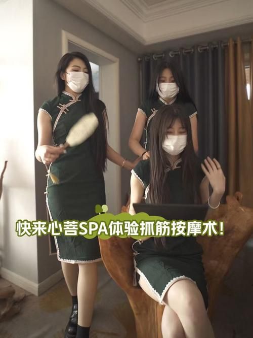 nekotto岛下载地址更新了 快来体验新版本
