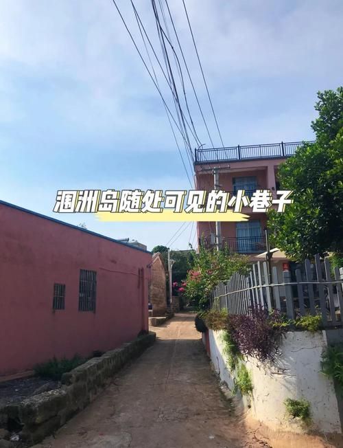 nekotto岛官网怎么注册 nekotto岛官网账号申请指南