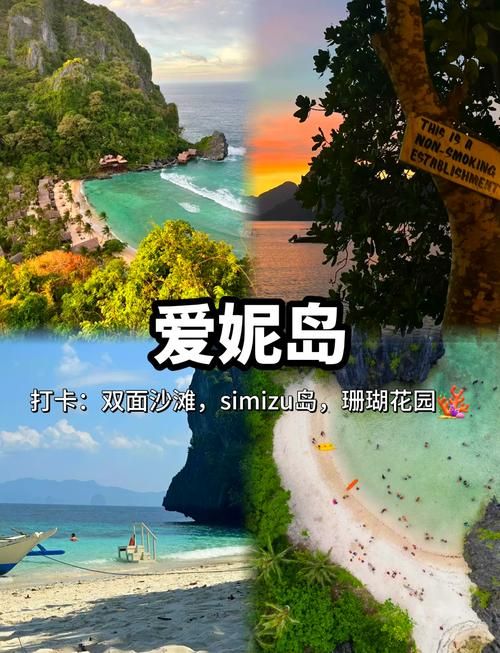 nekotto岛官网怎么注册 nekotto岛官网账号申请指南