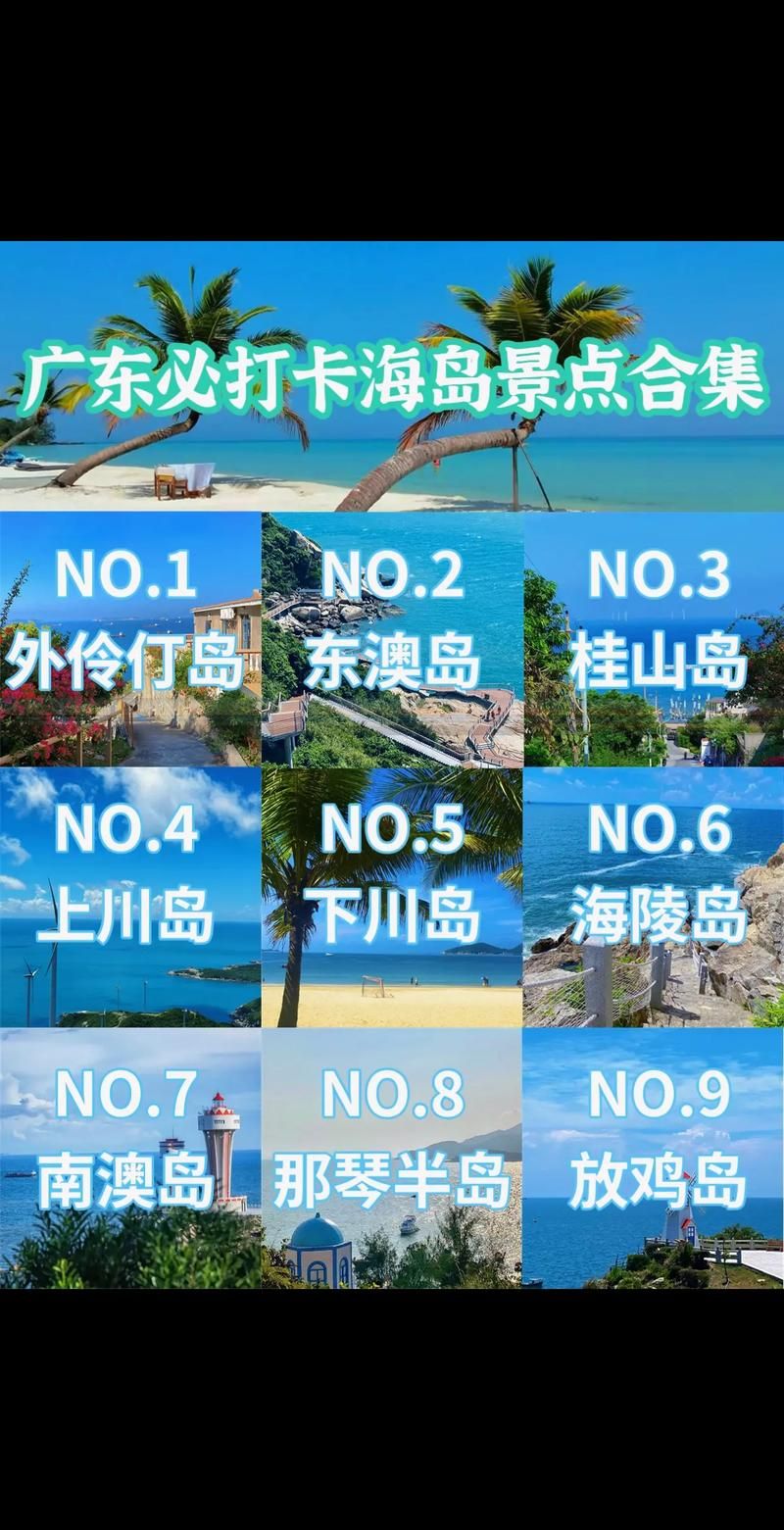 nekotto岛最新版本攻略 快速上手玩转海岛新玩法