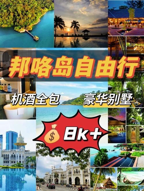 nekotto岛最新版本攻略 快速上手玩转海岛新玩法