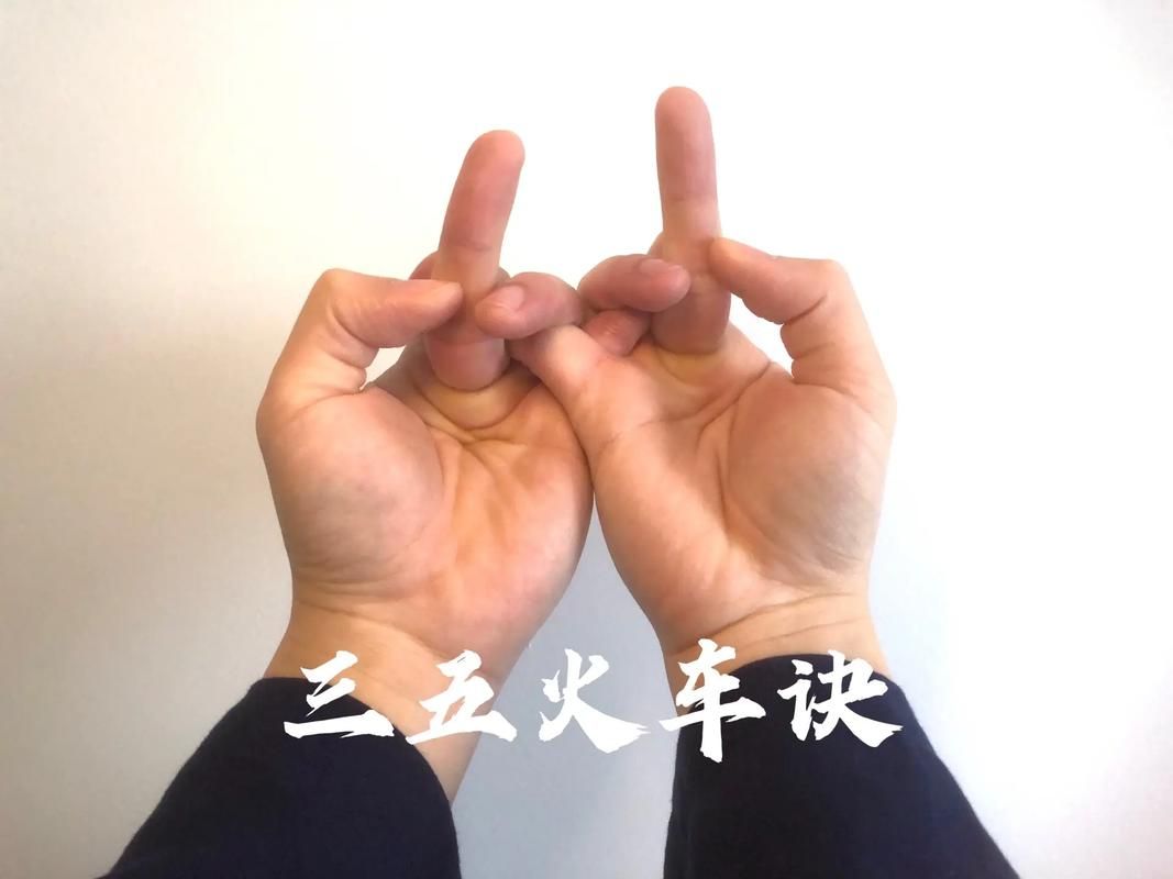 nekotto岛杨过游戏怎么玩 快速上手指南教程