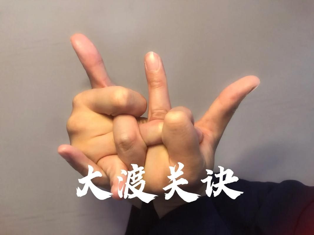 nekotto岛杨过游戏怎么玩 快速上手指南教程