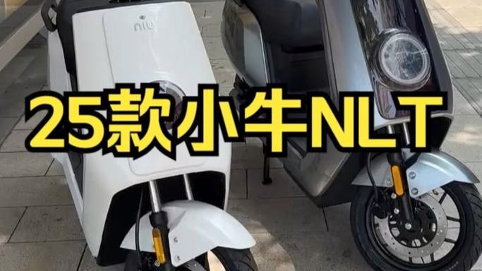 NLT合集最新版本与其他工具对比评测