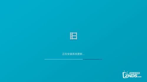 NLT合集最新版本是多少 如何升级到最新版