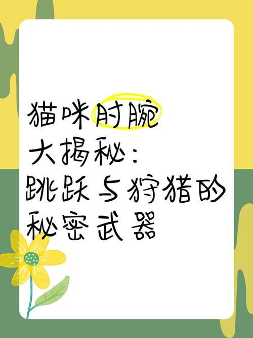 NPC狩猎沉迷在无抵抗的世界里最新玩法大揭秘