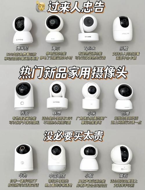 NTR办公室V20250226B最新功能详解与使用指南