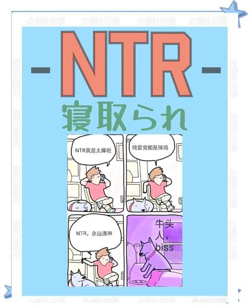 NTR办公室V20250226B版本大全常见问题解决方法