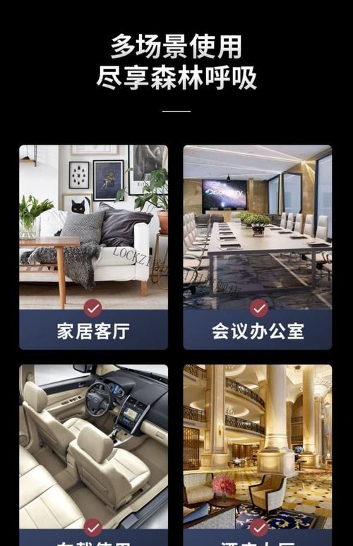 NTR办公室官方网站使用指南与常见问题