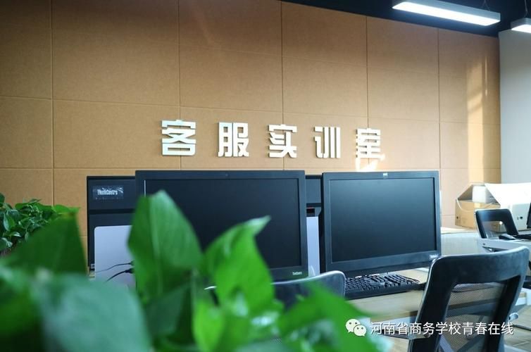 NTR办公室官方网站使用指南与常见问题