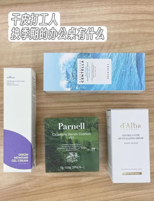 NTR办公室官方网站使用指南与常见问题