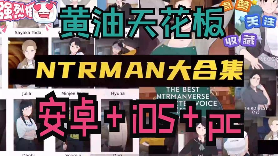 NTR办公室游戏攻略常见问题解决方法大全