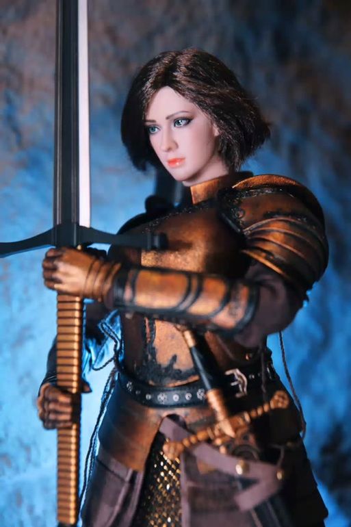 NTR女骑士版本大全 经典作品全解析